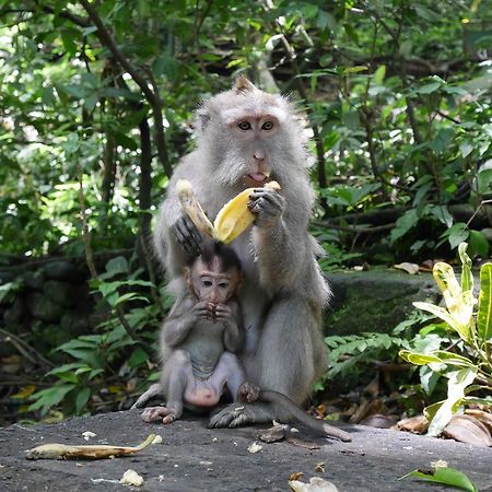 Pondok Penestanan Villa Ubud المظهر الخارجي الصورة