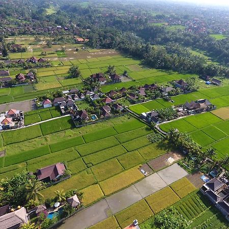 Pondok Penestanan Villa Ubud المظهر الخارجي الصورة