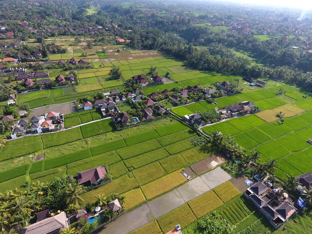 Pondok Penestanan Villa Ubud المظهر الخارجي الصورة